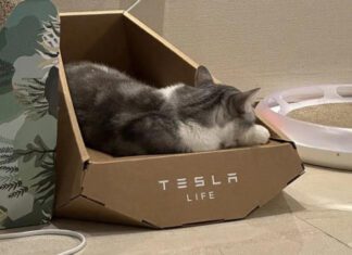 Похоже, Tesla украла дизайн лежанки для котов «в стиле Cybertruck» у тайваньской компании