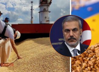 После диалога с рф Турция все равно хочет вернуться к зерновому соглашению: подробности