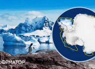 Пропал кусок Антарктиды размером с Аргентину. Ученые растеряны