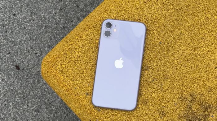 Рекордное падение цены на iPhone 11 почти даром: купите легенду по самой низкой цене — от 9 606