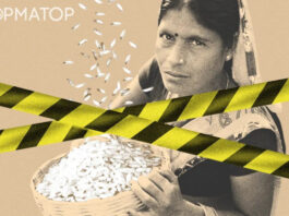 Рис под запретом. Индия прекращает импорт риса, что чревато его подорожанием. Что будет с ценами на другие крупы