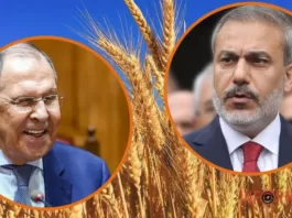 Россия придумала собственное «зерновое соглашение» с Турцией и Катаром, а переговоры ожидают уже в скором времени: подробности