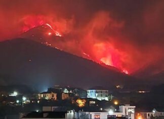 У дворца путина в российском Геленджике тушат мощные лесные пожары — видео