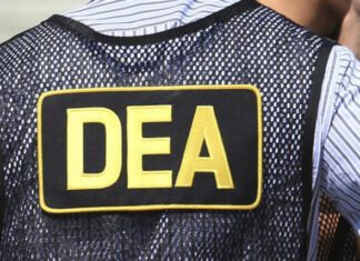 Управление по борьбе с наркотиками США по ошибке отправило мошеннику $55 000 в криптовалюте USDT