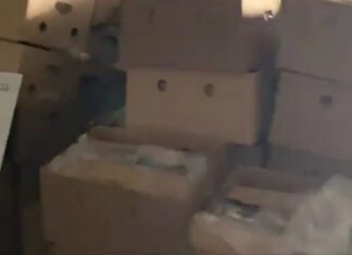 В Испании полиция обнаружила рекордную для страны партию кокаина в эквадорских бананах