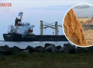 Восстановление зернового соглашения: Турция работает с ООН и Западом над переговорами