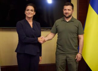 Зеленский встретился с президентом Венгрии: о чем говорили