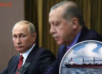 Без «очень важного» сообщения: Эрдоган не договорился с путиным по «зерновому коридору»