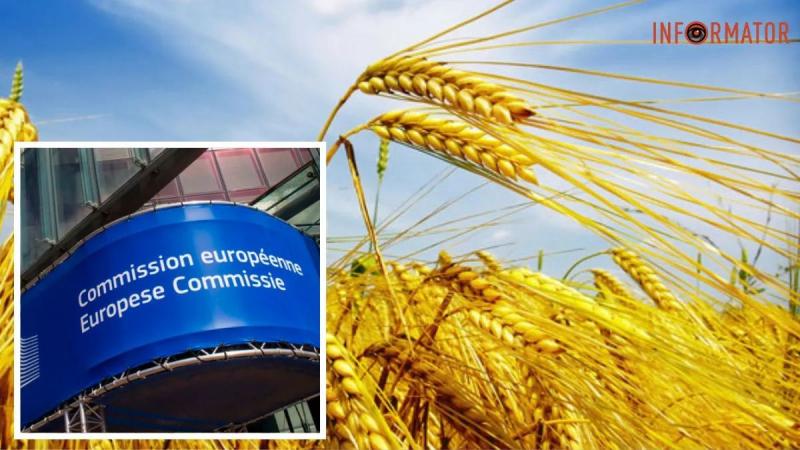 Эмбарго на украинское зерно: ЕС не поддержал призывы соседей Украины