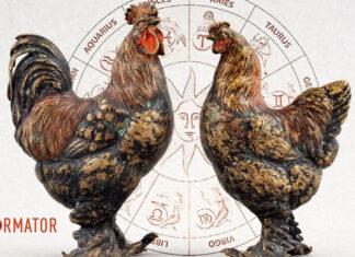 Гороскоп на 10 сентября для всех знаков Зодиака: эмоции могут выдавать странные финты