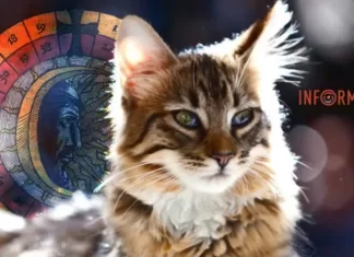 Гороскоп на 13 сентября для всех знаков Зодиака: как рассмотреть подарок судьбы