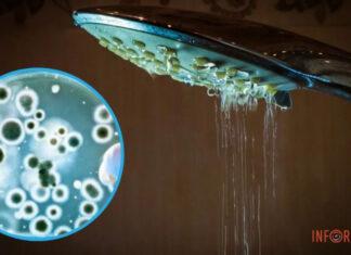 Легионелез в Польше: как оценивает Минздрав угрозу вспышки в Украине