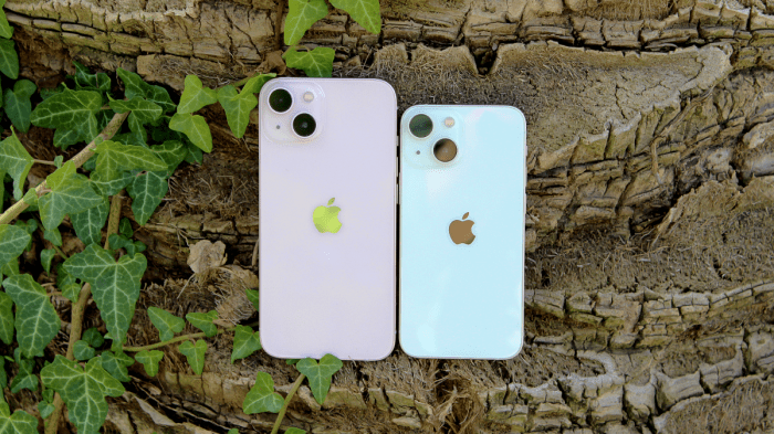 Любители iPhone mini в отчаянии: Apple прекращает производство и продажи iPhone 13 mini