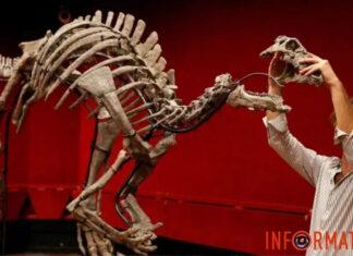 На аукционе в Париже выставляют скелет редкого динозавра «Барри»