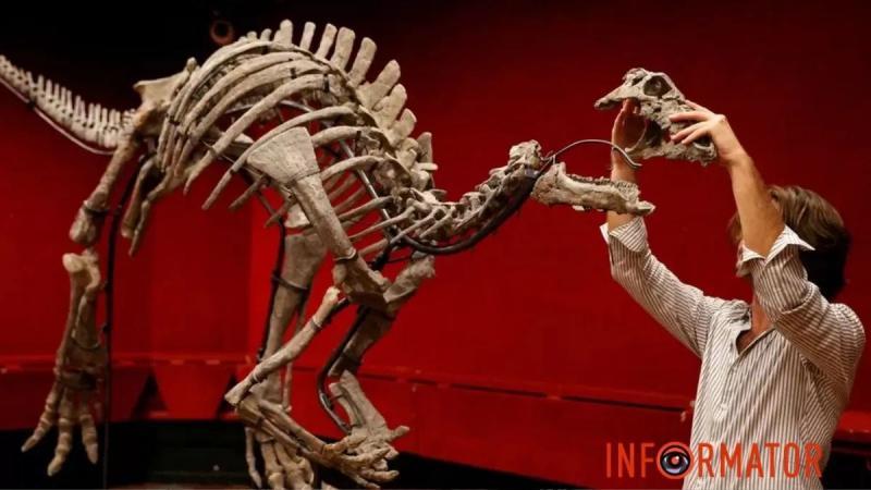 Редкий скелет динозавра «Барри» выставлен на аукцион в Париже
