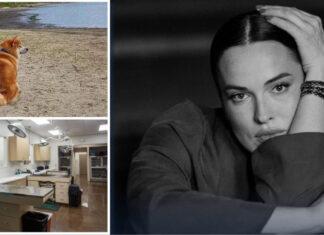 Нашего Чичу убили: Даша Астафьева сообщила ужасную новость о своей собаке. Модель не сдерживала слез