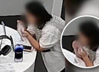 Ну очень дорогое устройство! Женщина в Китае перекусила кабель защиты от воровства и украла iPhone 14 Plus