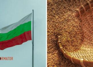 Парламент Болгарии разрешил импорт зерна из Украины: подробности