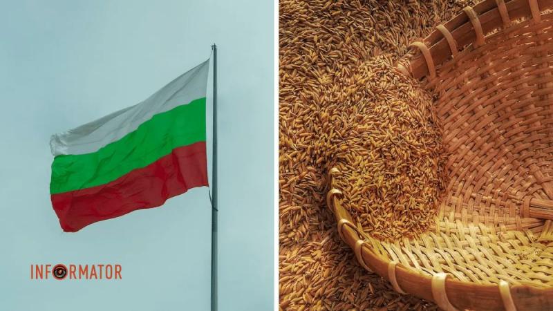 Болгарский парламент разрешил импорт зерна из Украины: подробности