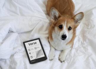 PocketBook Verse: 6-дюймовый дисплей E Ink Carta, слот для карты памяти и подсветка SMARTlight