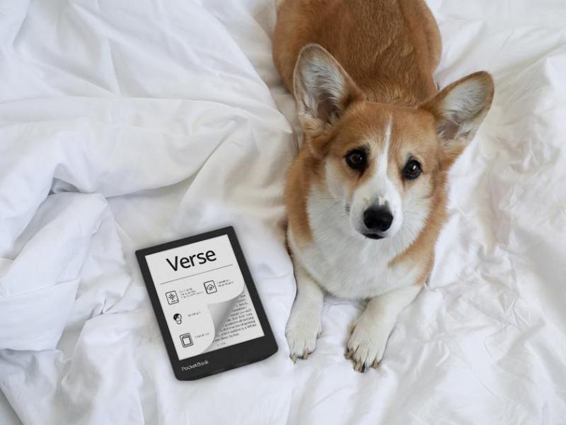 PocketBook Verse: 6-дюймовый экран E Ink Carta, слот для карты памяти и подсветка SMARTlight