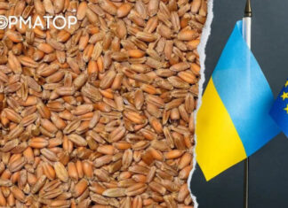 Польша может заблокировать вступление Украины в ЕС из-за ситуации с украинским зерном