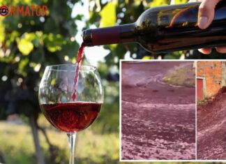 Португальский город затопило вином. Нам бы так! — видео