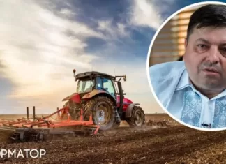 Процесс начался. Половине украинских аграриев грозит банкротство в 2024 году: мнение эксперта