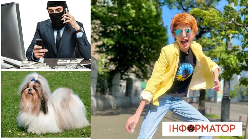 Продам породистого щенка от ЗСУ! Известная телеведущая раскрыла наглую аферу