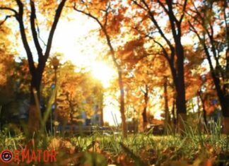 Прогноз погоды на 18 сентября. Начало недели будет преимущественно тёплым