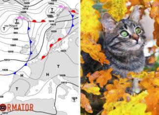 Прогноз погоды на 26 сентября. Антициклон охватит Украину