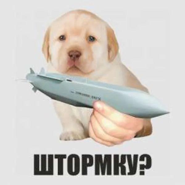 Сеть взорвалась мемами после нападения на штаб ЧФ РФ в Крыму — подборка лучших анекдотов