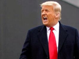 Суд Нью-Йорка признал ответственным Дональда Трампа и его семью в мошенничестве