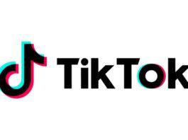 TikTok пытается конкурировать с поисковиком Google: фрагменты Wikipedia теперь можно найти в TikTok