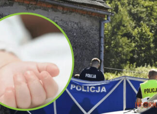 Трое убитых младенцев в подвале дома: в Польше задержали мужчину и его дочь