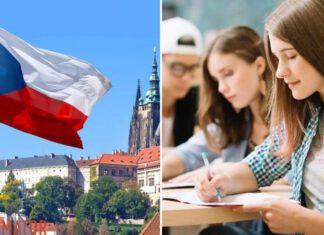 Украинские студенты могут получить стипендии в Чехии — как подать заявку