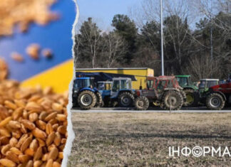 В Болгарии фермеры перекрыли главные дороги из-за снятия эмбарго на украинское зерно: фото