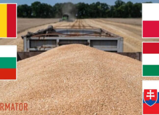 В ЕС три страны открыто бойкотируют координационную платформу по украинскому зерну: как реагирует Украина и ЕС