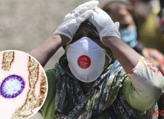 В Индии вспышка смертельной эпидемии: вирус убивает до 75% инфицированных, вакцины от него не существует