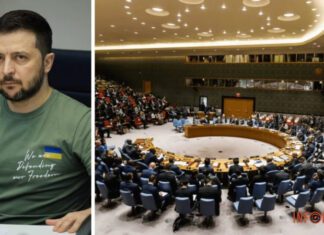 В ООН ожидают, что Зеленский лично приедет на заседание Совета безопасности