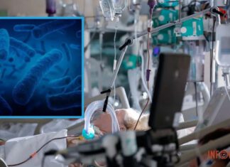 В Польше легионеллезом болеют уже 160 человек, 19 пациентов умерли: болезнь зафиксировали еще в двух странах Европы