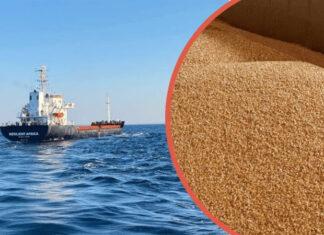 В Турцию прибыло первое судно с украинским зерном, шедшее временным коридором
