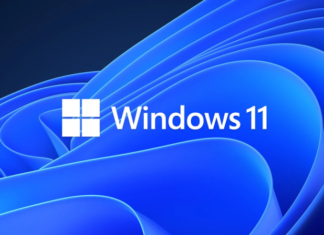 В версиях программ Snipping Tools и Photos для тестеров Windows Insider появилась возможность копировать текст со снимка с экрана и размывать фон на фото