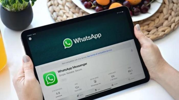 WhatsApp теперь на iPad: пользователи ждали этого годами, Meta хочет привлечь больше