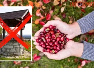 Что нельзя делать 2 октября: приметы и запреты