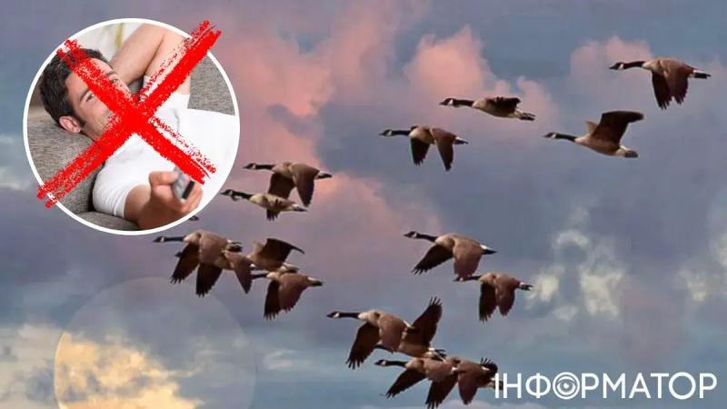 Чего нельзя делать 6 октября: приметы и запреты