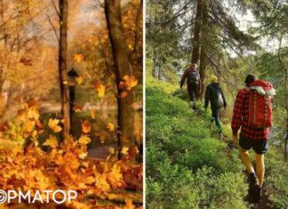 Что нельзя делать 9 октября: ссориться и идти в лес — приметы и запреты