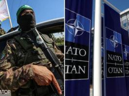 Израиль показал НАТО шокирующие видео зверств ХАМАС без цензуры: как отреагировали в Альянсе