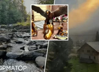 Мистическая и зрелищная Черная Тиса: уникальное село обделено вниманием путешественников