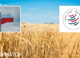 Польша недовольна решением Украины «поставить на паузу» процесс в ВТО через зерно: что об этом известно